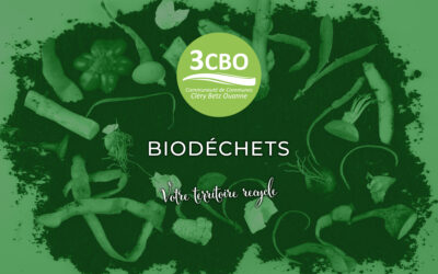 Découvrez le tri à la source des biodéchets : une démarche simple et bénéfique pour tous !